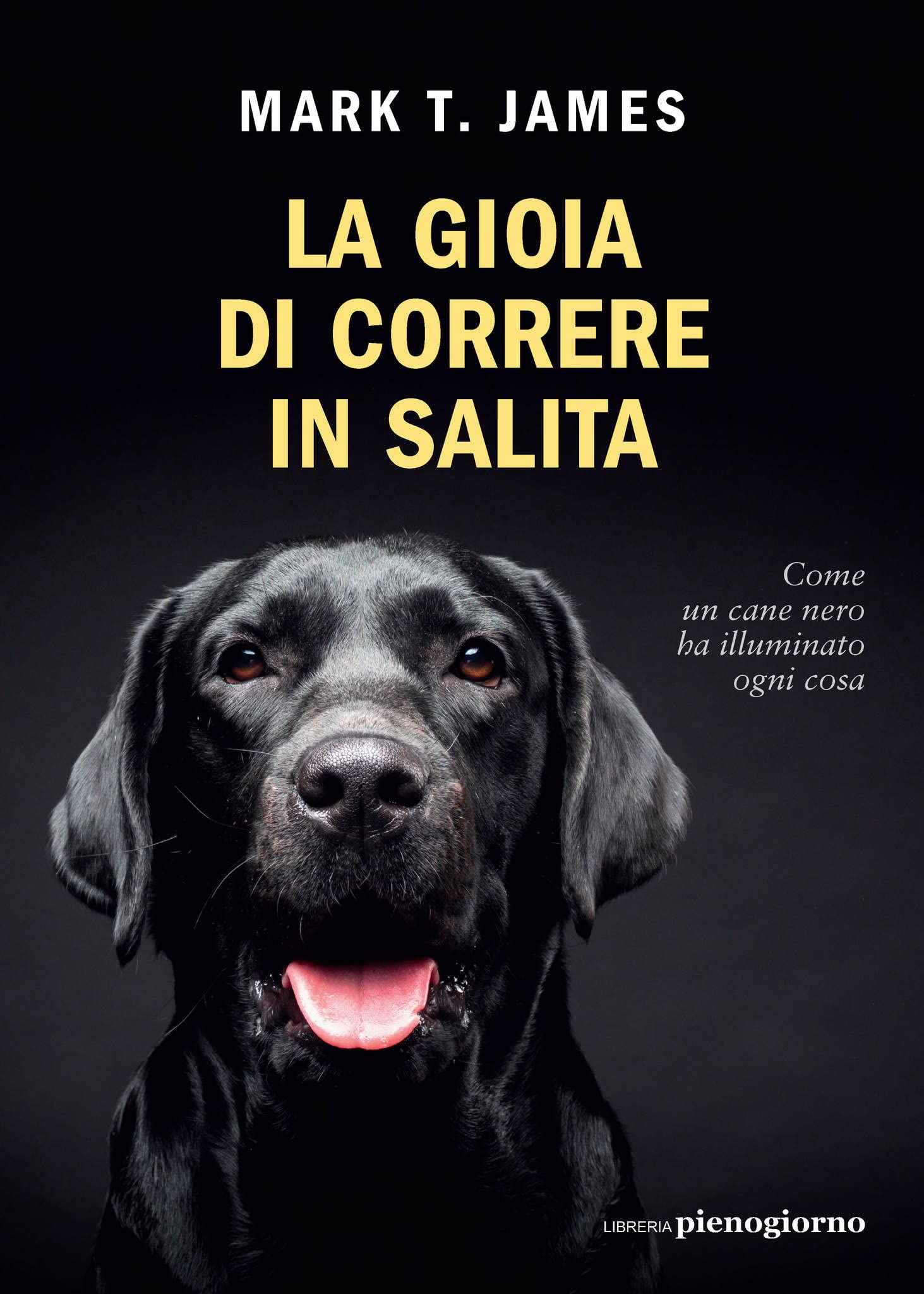 La gioia di correre in salita (Italian Edition)