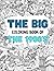 THE 1900's: THE BIG COLORIN...