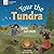 Tour the Tundra: Biome Expl...