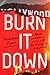 Burn It Down by Maureen  Ryan