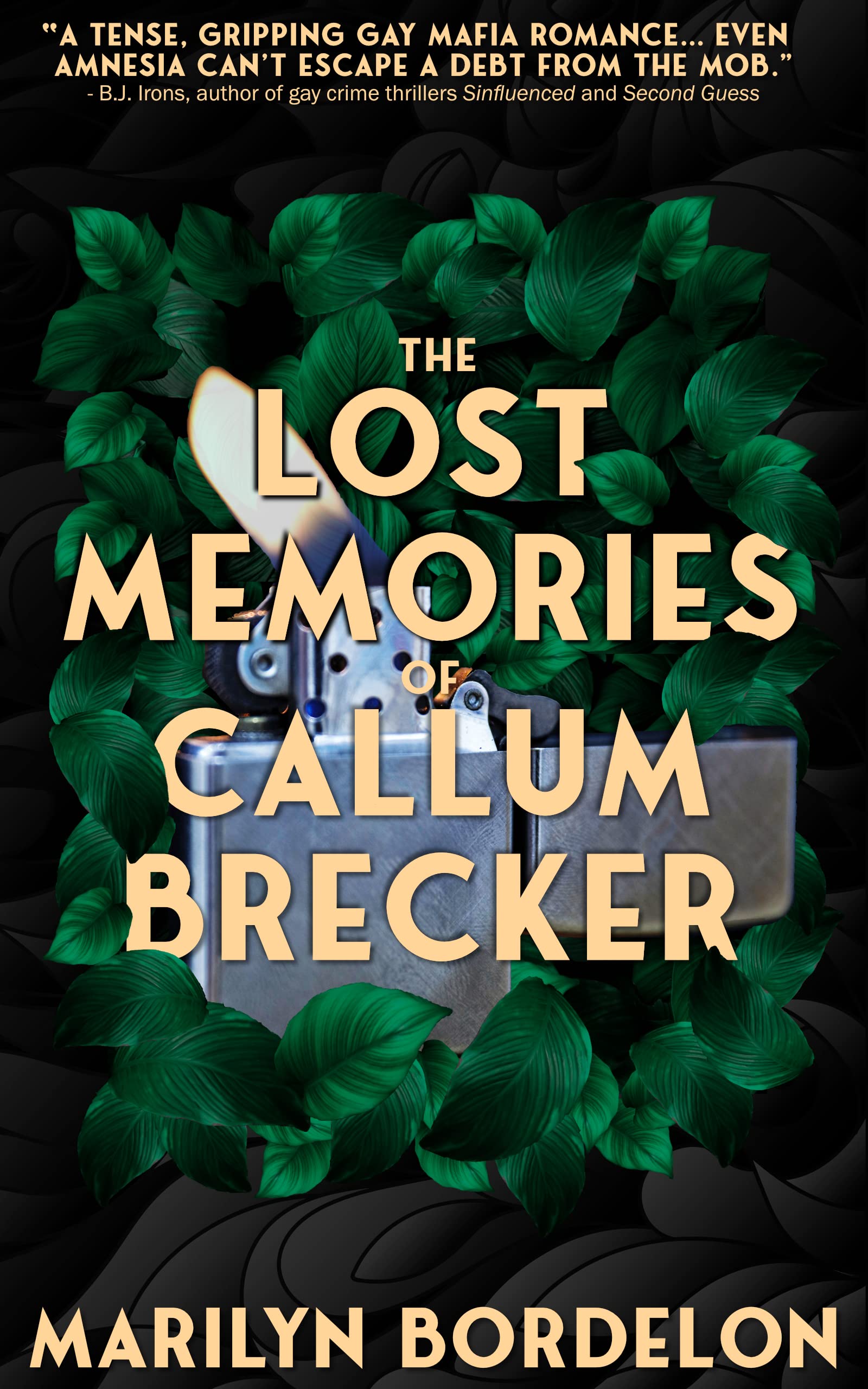 The Lost Memories of Callum Brecker (Kindle Edition)