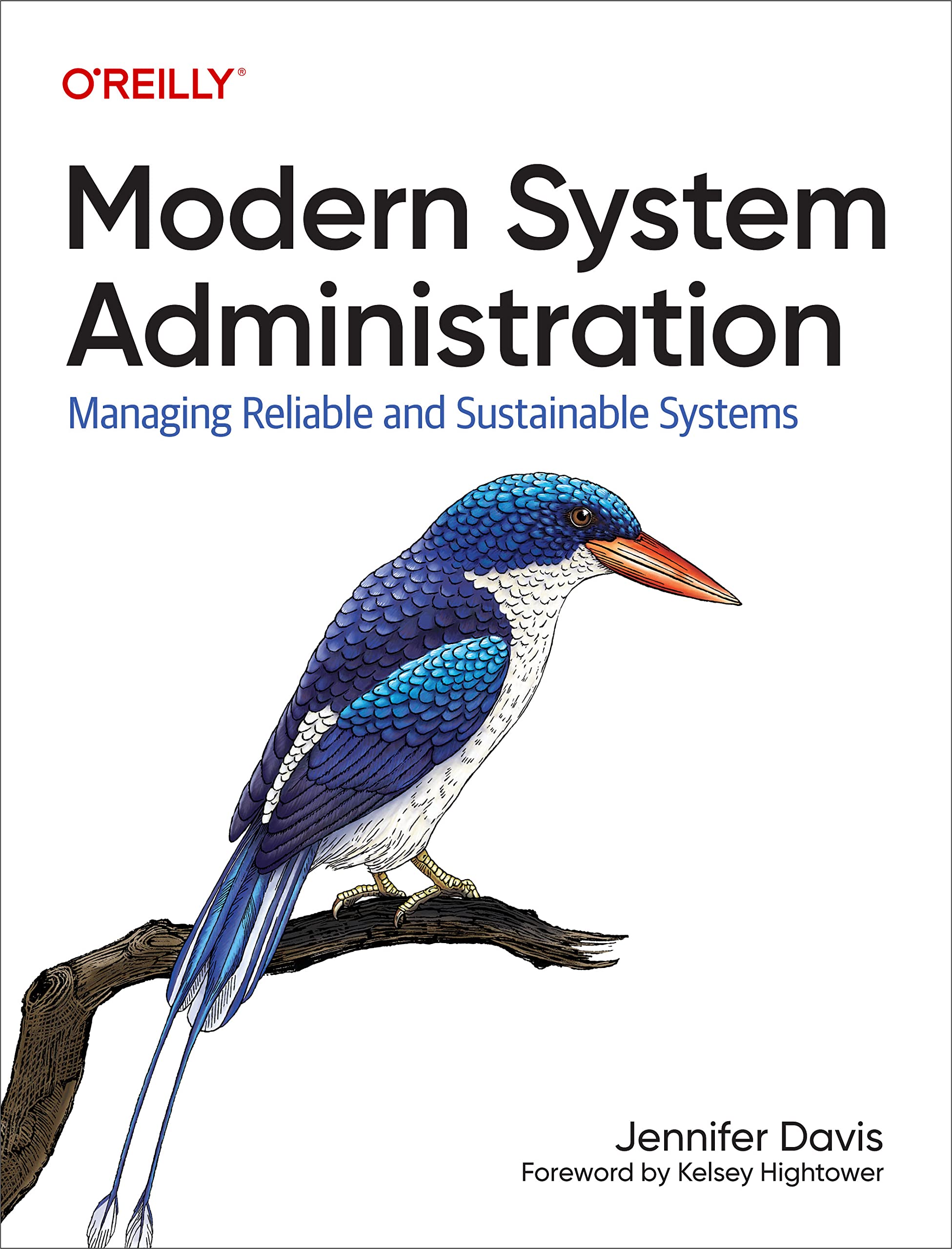 Modern System Administration: Managing Reliable and Sustainable Systems (Kindle Edition)