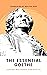 Best Classic War Literature Ever Written: Profound & Intense Works on History, Historical Fiction, Epic, Battle & World War (Grapevine Books)
