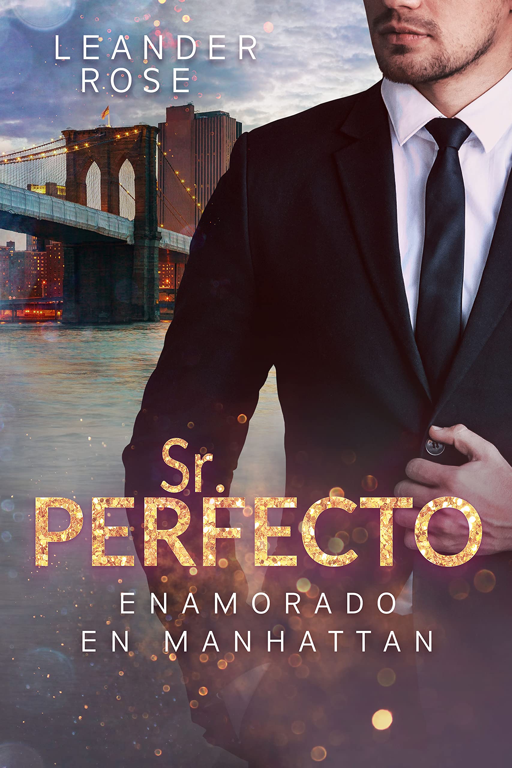 Portada de Sr. Perfecto: Enamorado en Manhattan, de Leander Rose