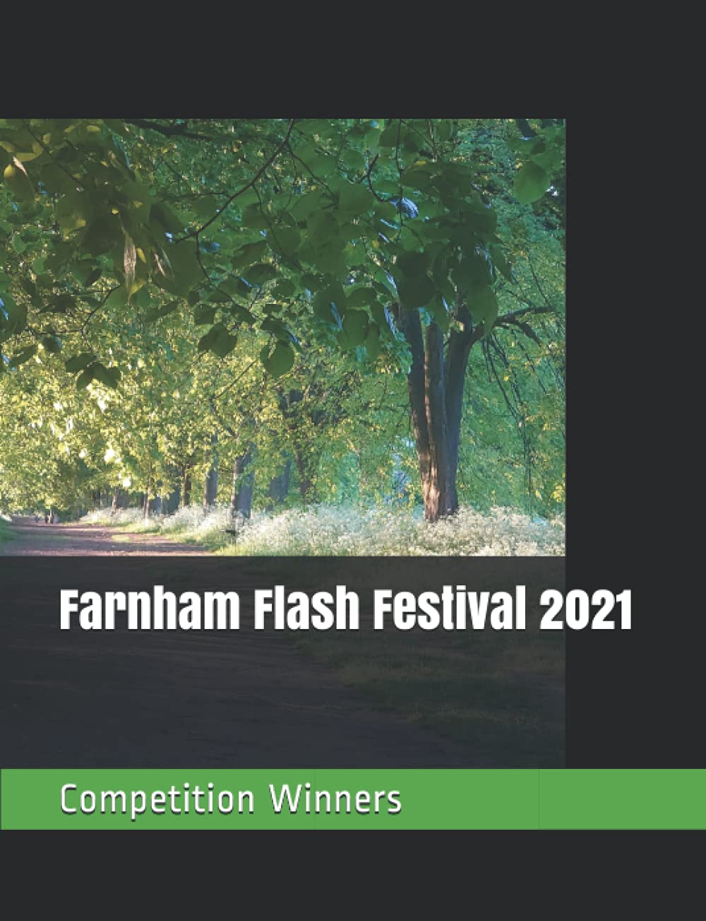 Farnham Flash Festival 2021 (25 Competition-Winning, 500-word, Flash Fiction Short Stories)
