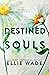 Destined Souls (The Beautiful Souls Collection)