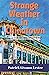 Strange Weather in Chinatown: A Nick Thomas Adventure (Nick Thomas Adventure Series)