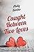 Caught Between Two Loves by Andy Simko