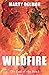Wildfire: The End of the Road