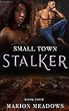 Book cover for Small Town Stalker (Sins of the South #4)