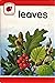Leaves (Ladybird Leaders)