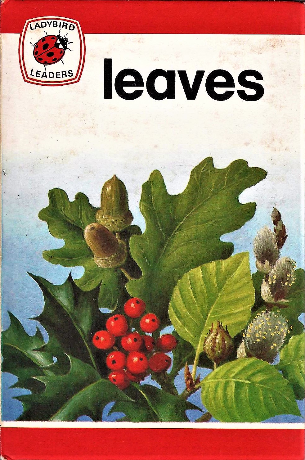 Leaves (Ladybird Leaders)