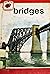 Bridges (Ladybird Leaders)