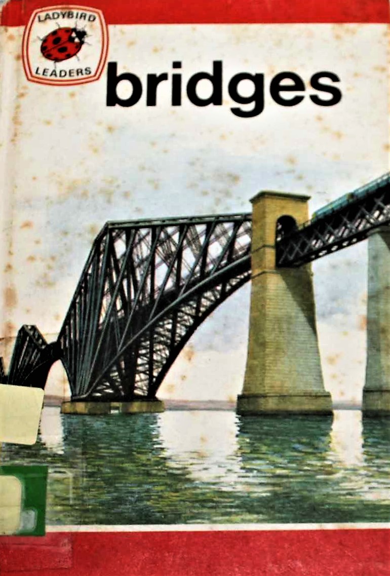 Bridges (Ladybird Leaders)