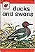 Ducks and Swans (Ladybird L...