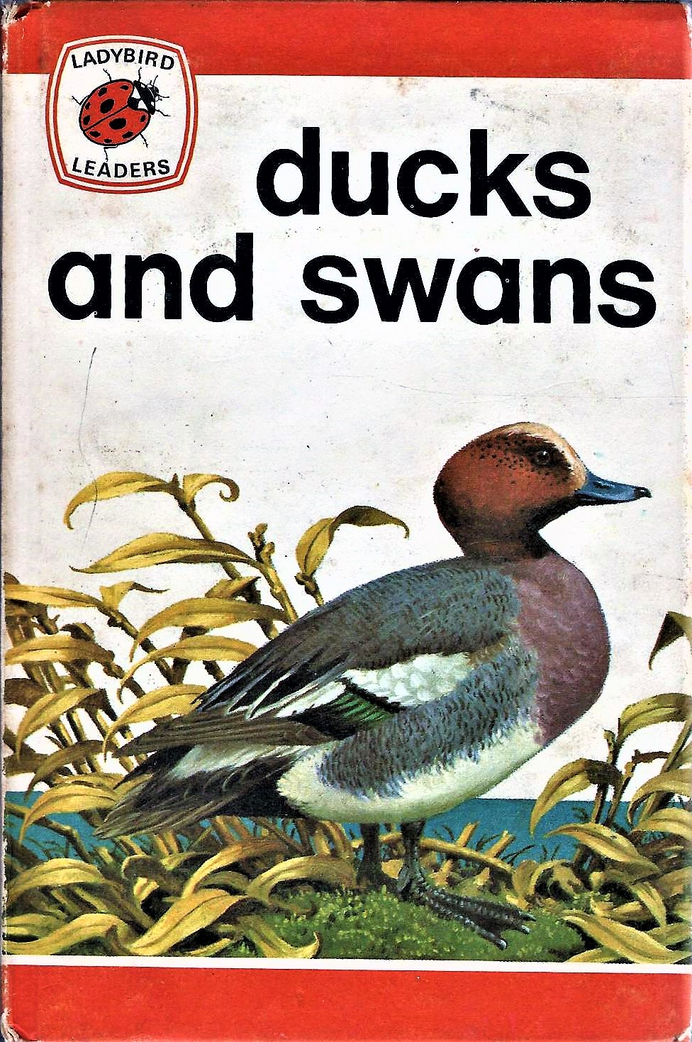 Ducks and Swans (Ladybird Leaders #2)