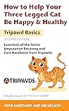 How to Help Your Three Legged Cat Be Happy & Healthy - Tripawd Basics Volume 3: Essentials of the Feline Amputation Recovery and Care Handbook from Tripawds