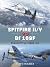 Spitfire II/V vs Bf 109F: C...