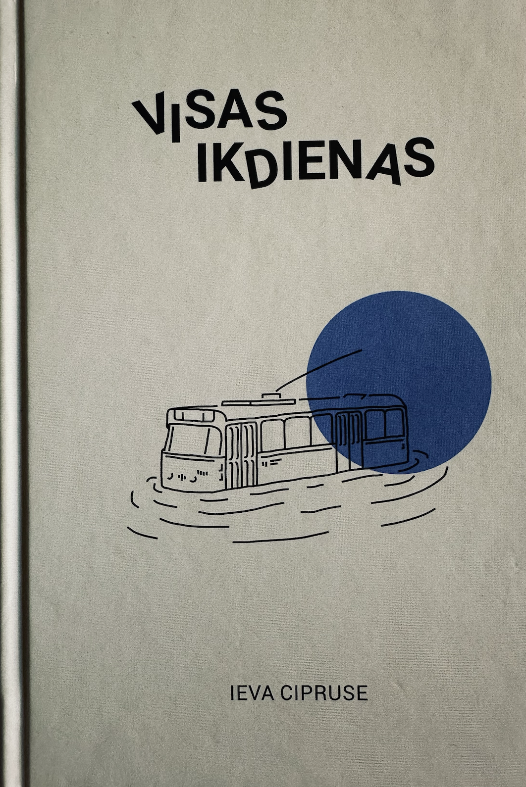 Visas ikdienas (Hardcover)