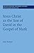 Jesus Christ as the Son of David in the Gospel of Mark by Max Botner