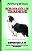 BORDER COLLIE TRAINING: The ultimate Guide To Keeping And Training Border Collie, Feeding, Health Care, Housing, Care, Treats, Diets And All Included