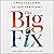 The Big Fix: 7 Practical Steps to Save Our Planet
