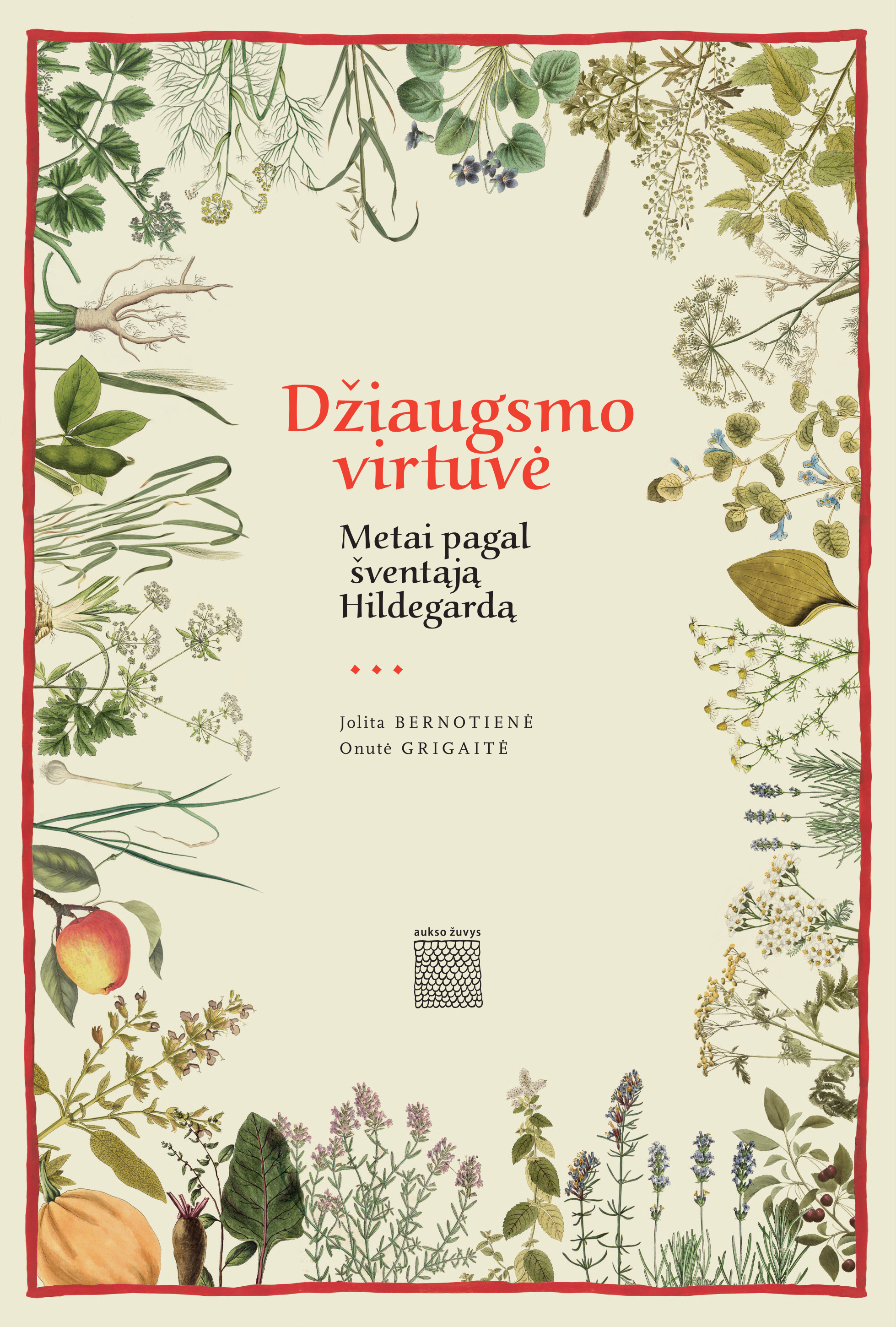 Džiaugsmo virtuvė. Metai pagal šventąją Hildegardą (Hardcover)