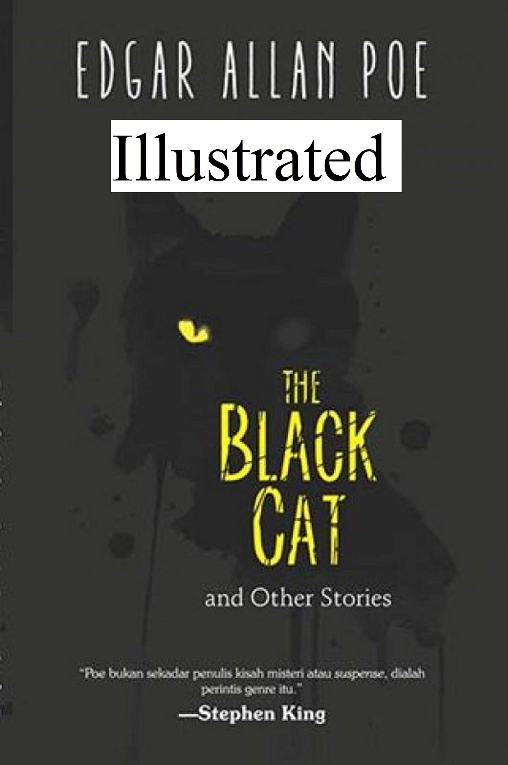 The Black Cat illustrated