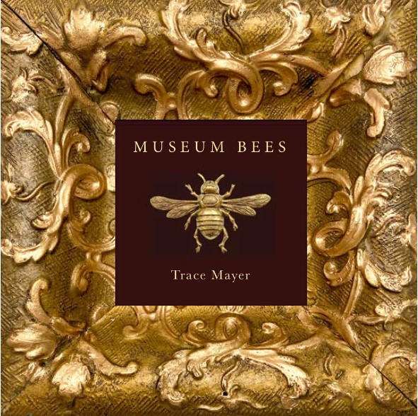 Museum Bees (Hardcover)