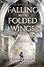 Falling with Folded Wings 2...
