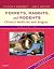 Ferrets, Rabbits and Rodents: Clinical Medicine and Surgery