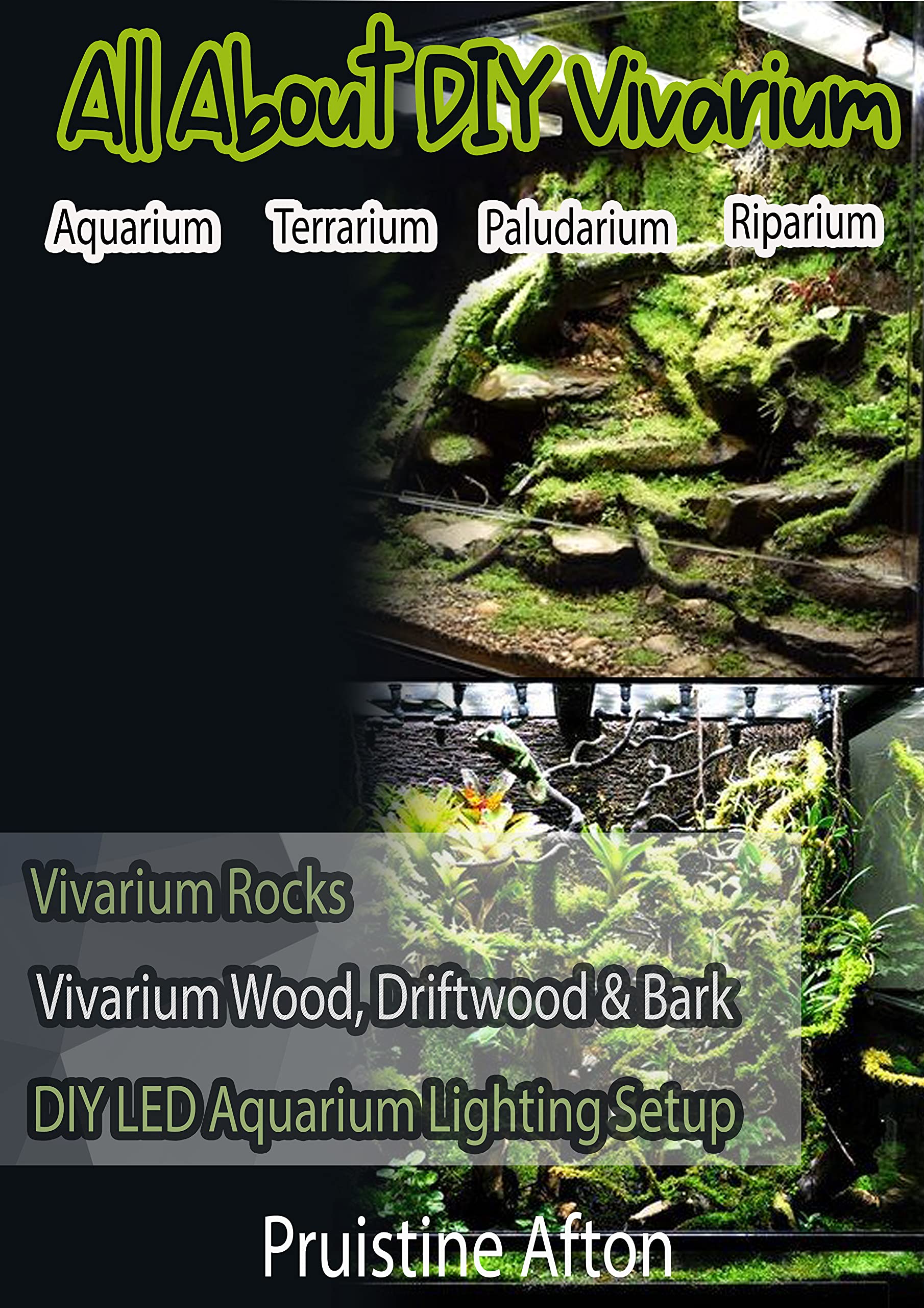 All About DIY Vivarium (Aquarium,Terrarium,Paludarium and Riparium)