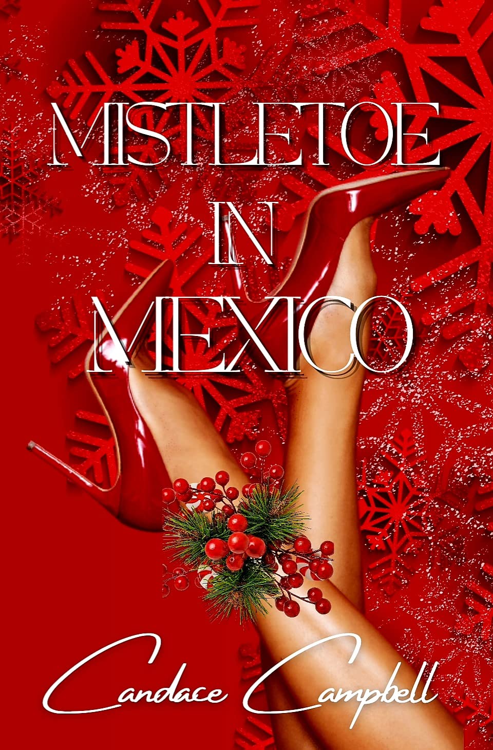 Mistletoe In Mexico (The Holiday Package Book 1)