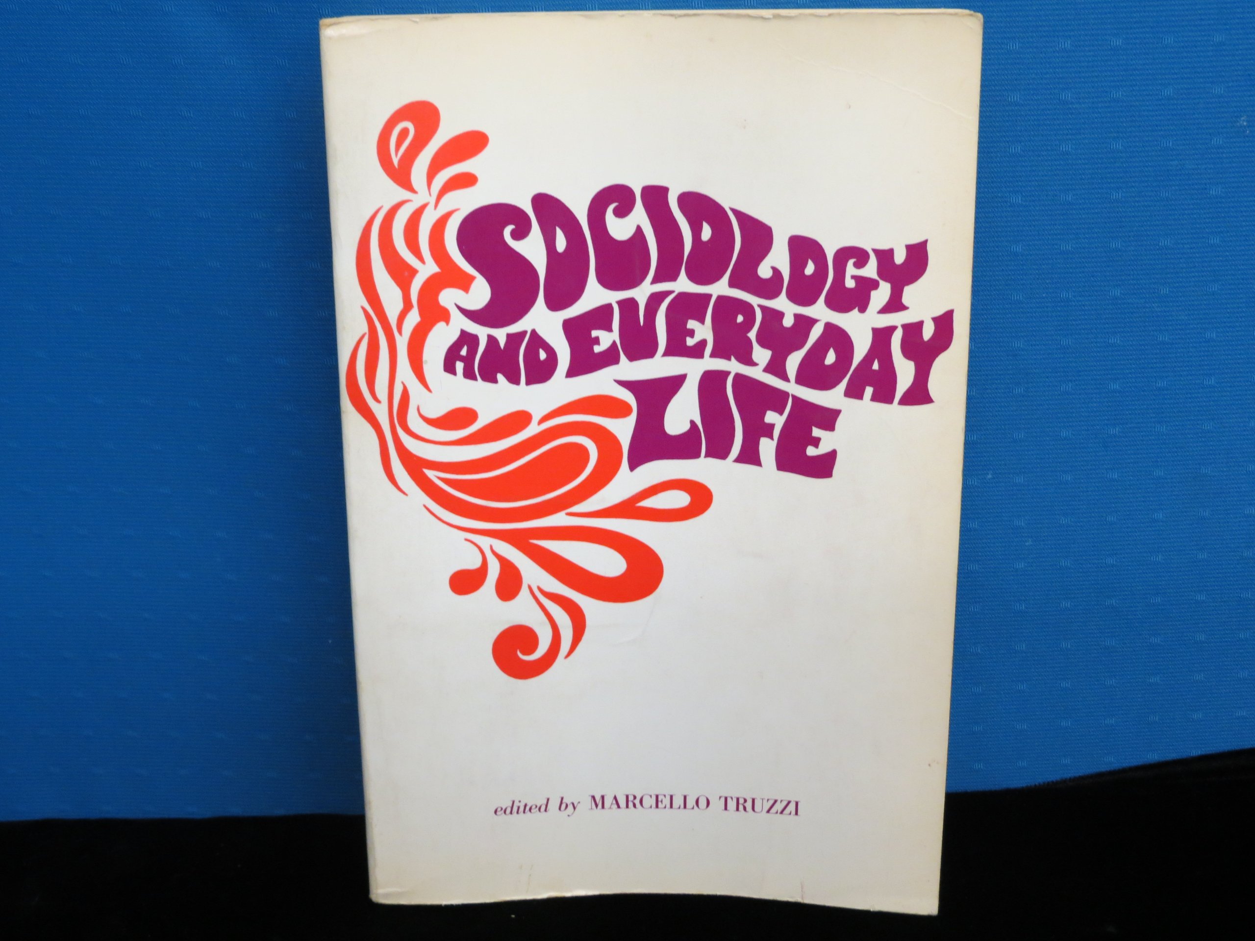 Sociology and Everyday Life (Paperback)