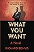 What You Want: A Novel