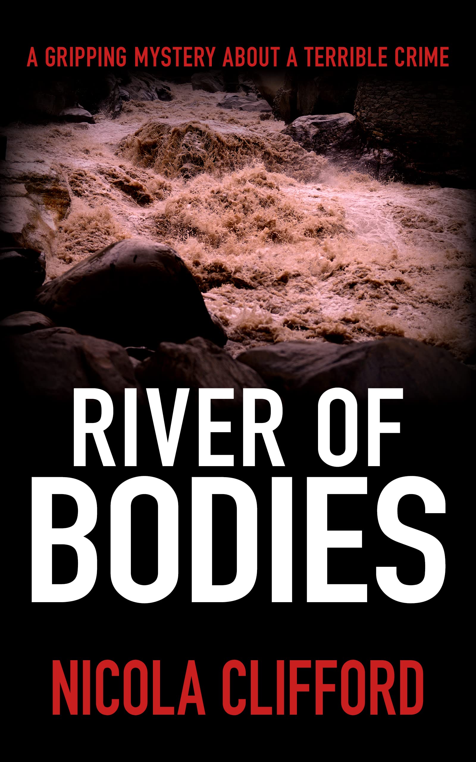 River of Bodies (Welsh Crime Mysteries #8)