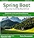 Spring Boot Español: Arquitectura de Back End (Spanish Edition)