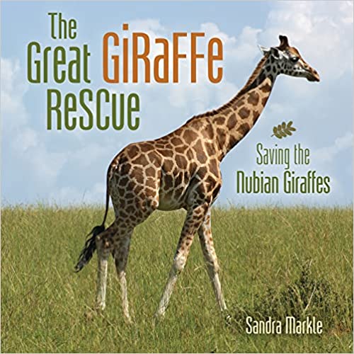 The Great Giraffe Rescue: Saving the Nubian Giraffes (Library Binding)