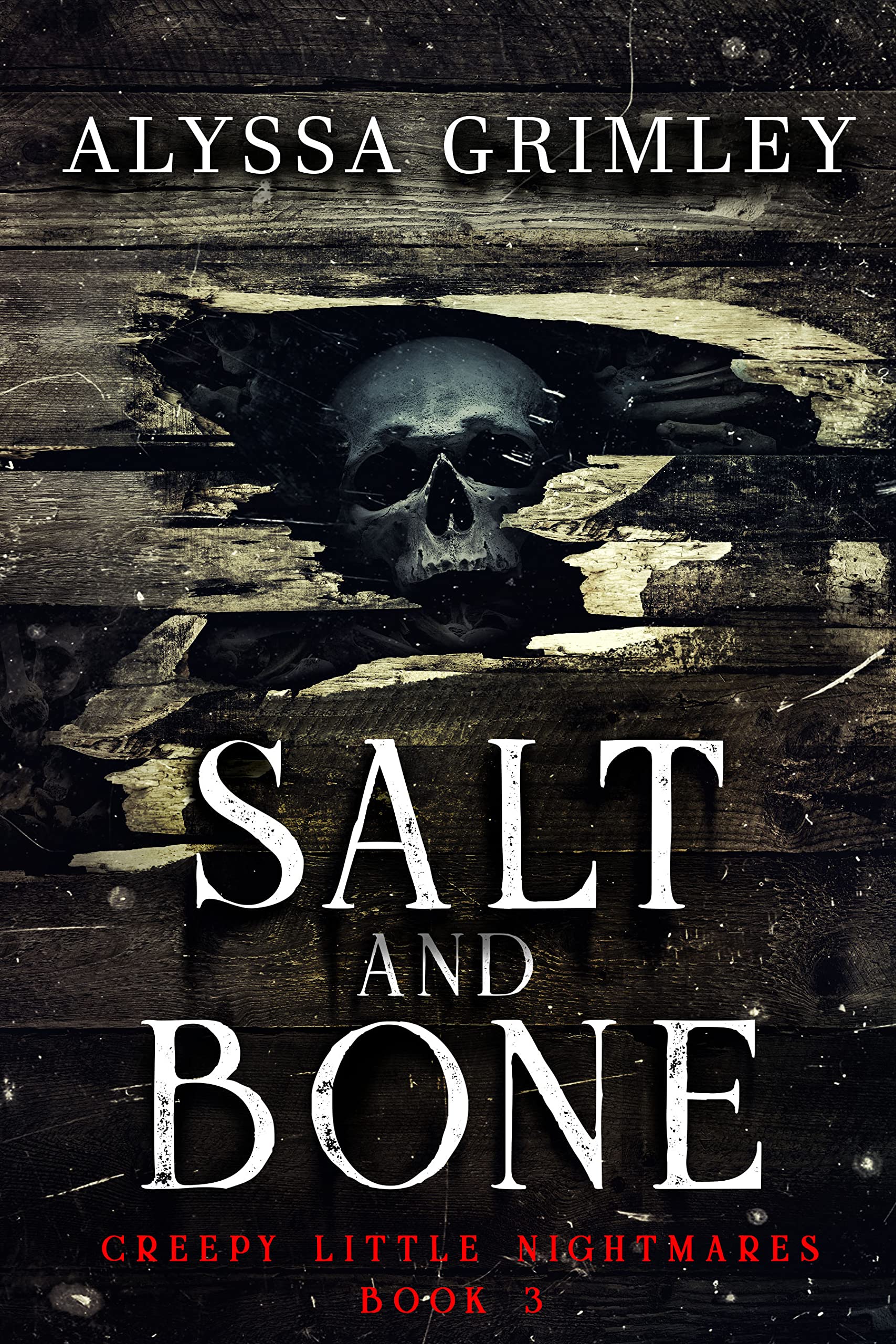 Salt and Bone (Kindle Edition)