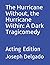 The Hurricane Without, the ...