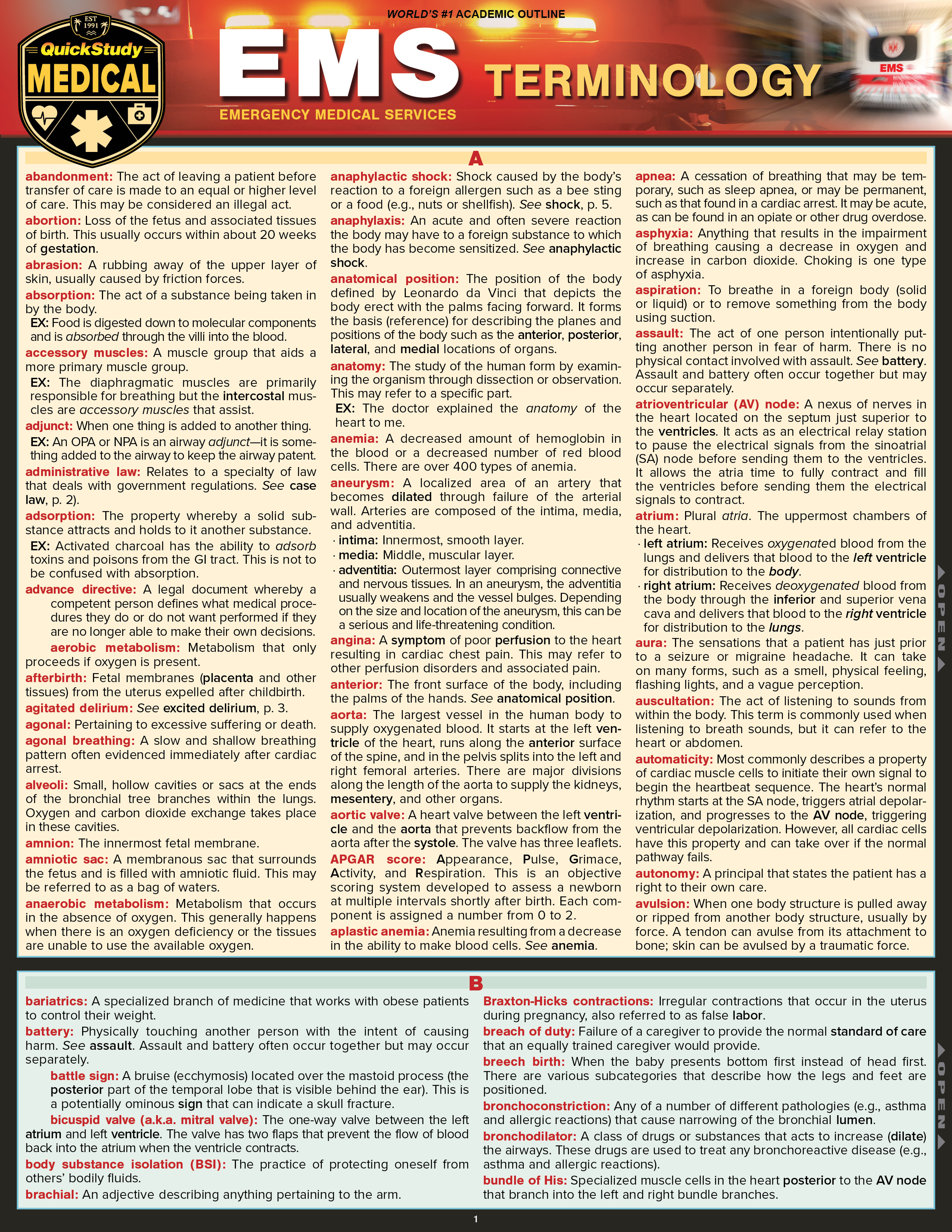 EMS Terminology: a QuickStudy Laminated Reference Guide