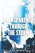Transparency Through The Storm