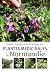 Plantes médicinales de Norm...