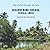 Discovering Cochin: (also k...