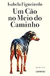 Um cão no meio do...