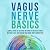 Vagus Nerve Basics: A Simpl...