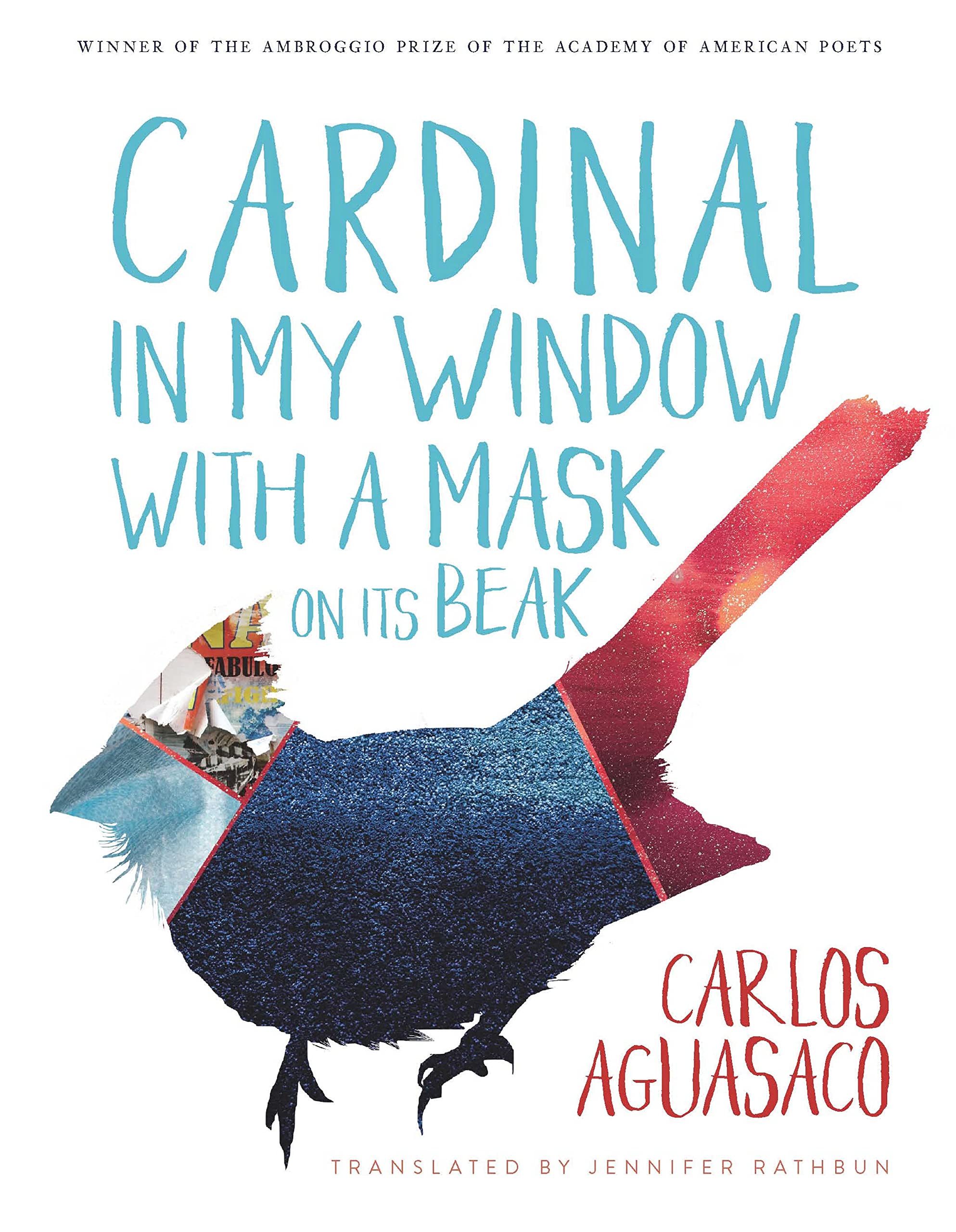 Cardinal in My Window with a Mask on Its Beak (Spanish Edition)