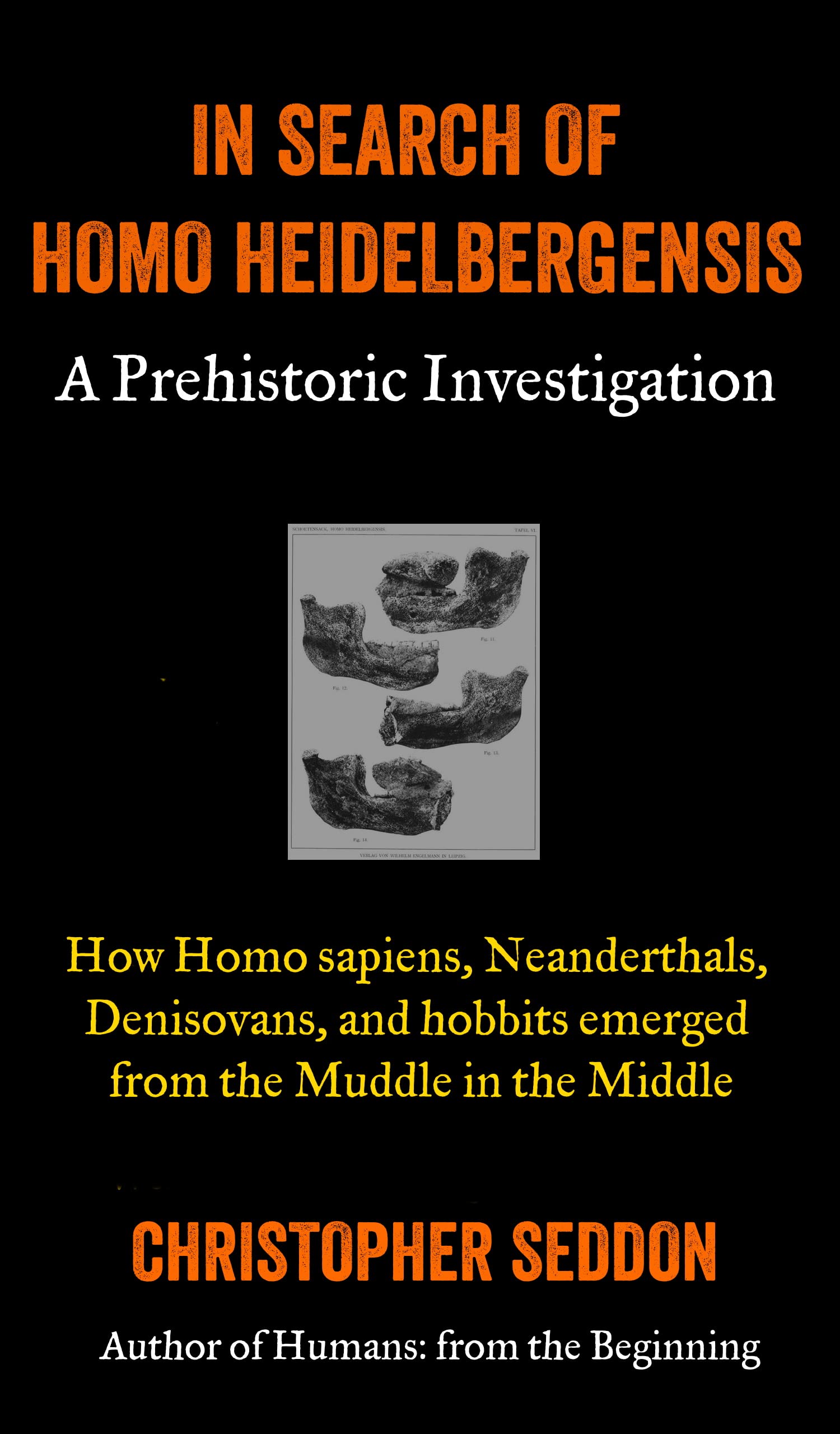 In search of Homo heidelbergensis: How Homo sapiens, Neanderthals, Denisovans, and hobbits emerged from the Muddle in the Middle (From the beginning)