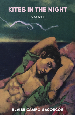 Kites in the Night (Paperback)