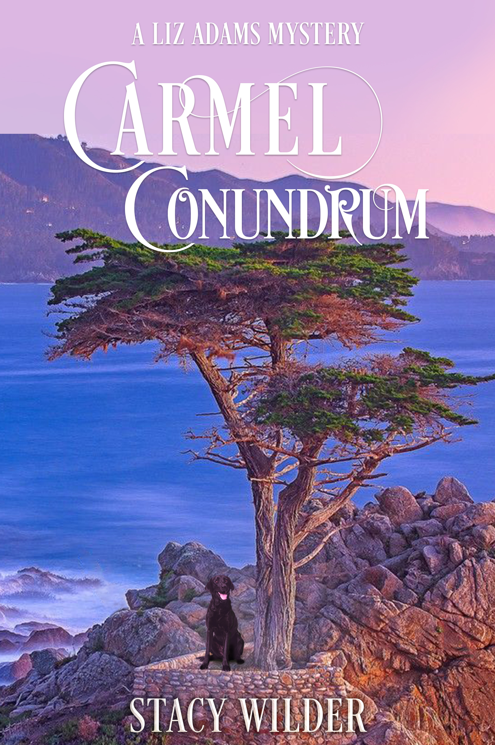 Carmel Conundrum (A Liz Adams Mystery #2)